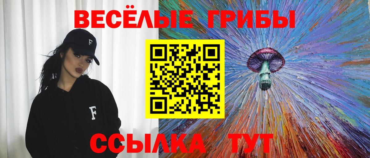Сыктывкар  Псилоцибиновые грибы MAGIC MUSHROOMS  Вход с VPN 